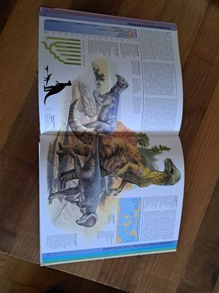 Dinosaurios (Spanish Edition)