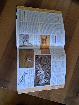 Dinosaurios (Spanish Edition)