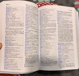 DICCIONARI TABARCA ESCOLAR Valenci-Castella/Cas...