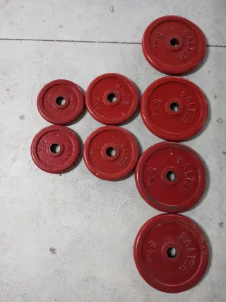 Barra larga y pesas Salter