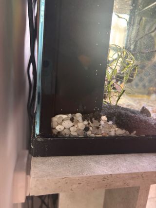 Pecera 55L con mueble y accesorios