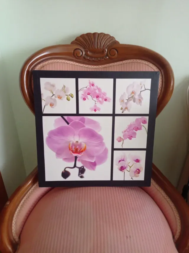 Cuadro Decorativo Orquídeas
