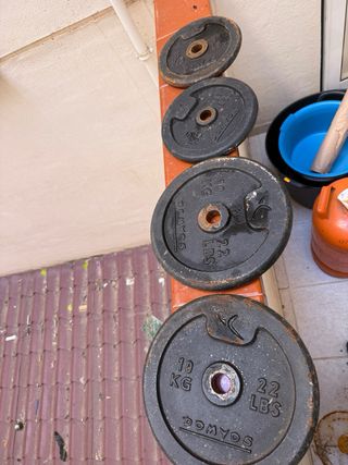 Barras y discos de pesas
