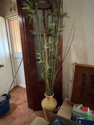 Conjunto Muebles de Salón