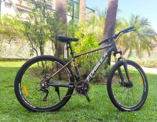 Bicicleta Aluminio Formula 29