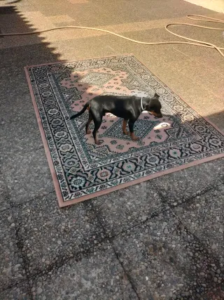 Alfombra beige y rosa