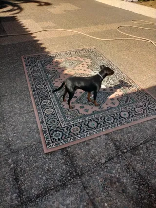 Alfombra beige y rosa