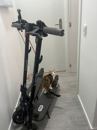 2 Patinetes Xiaomi 5 Pro