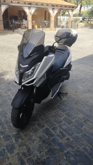 Scooter wottan storm