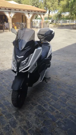 Scooter wottan storm