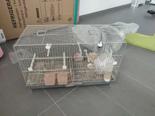 Jaula para pájaros gris y blanca