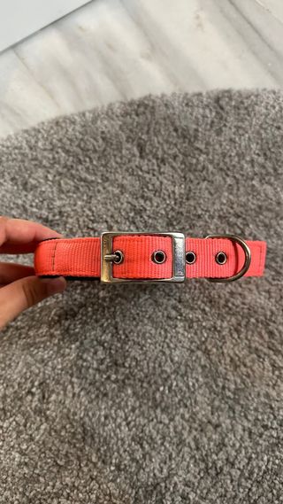 Collare per cani Ferplast rosa fluo