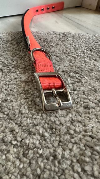 Collare per cani Ferplast rosa fluo