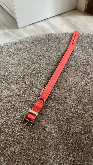 Collare per cani Ferplast rosa fluo