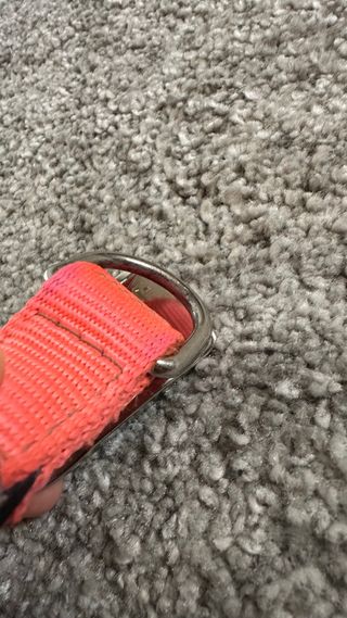 Collare per cani Ferplast rosa fluo