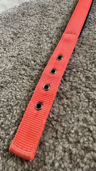 Collare per cani Ferplast rosa fluo