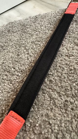 Collare per cani Ferplast rosa fluo