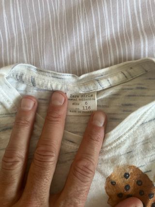 Camiseta Zara Mariposas