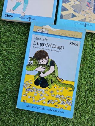 Lote de libros en catalán