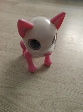 Gato inteligente Cute Friends Smart Kitty