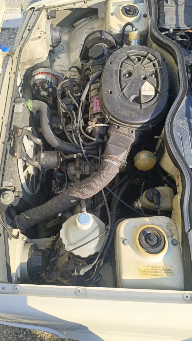 Renault supercinco 1996