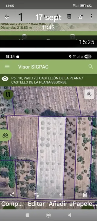 Parcela rústica en venta