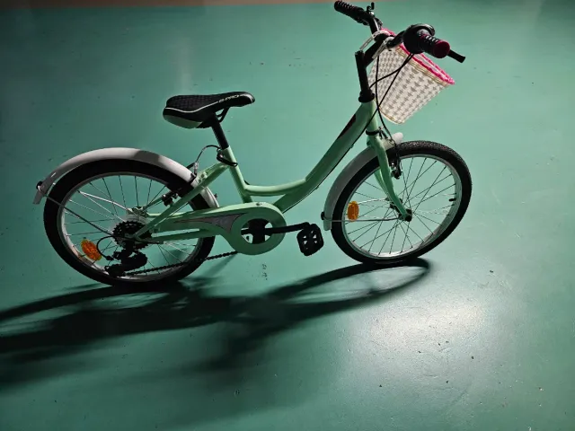 Bicicleta B Pro 20 Mint