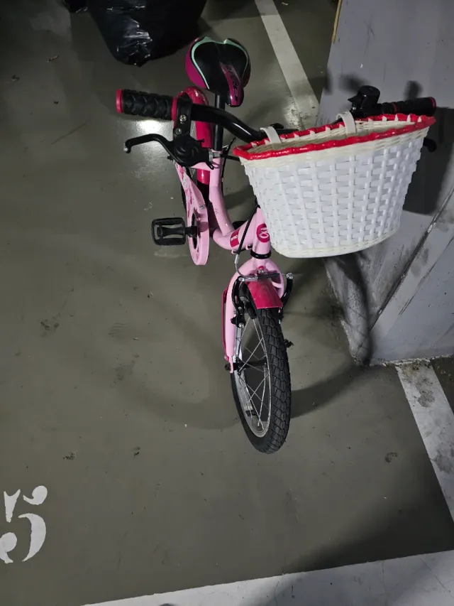 Bicicleta B Pro 16 Rosa