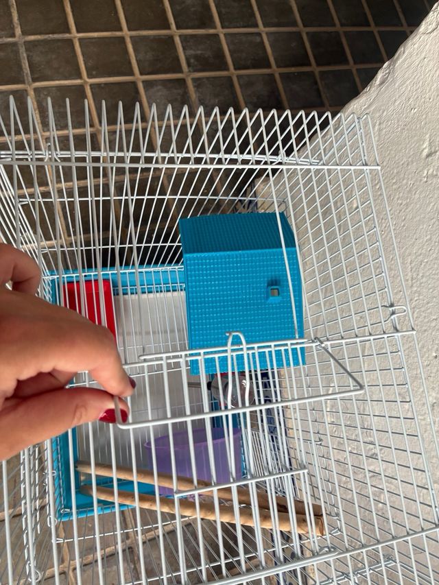 Jaula Hámster con Accesorios
