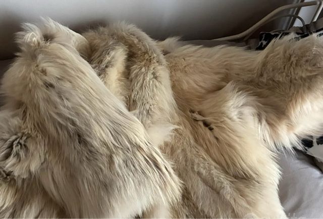 Pelliccia vintage beige/bianca taglia unica