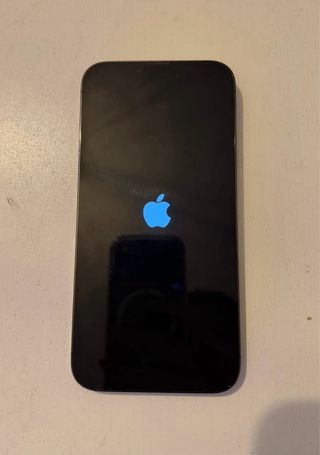 iPhone 13 Pro Max 128GB Libre