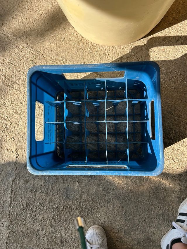 Cassa birra Augustiner