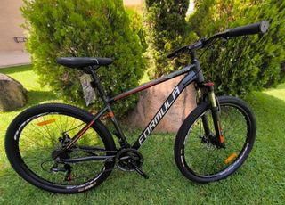 Bicicleta MTB Formula 29 Aluminio