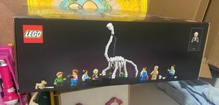 LEGO 10326 Icons Museo di storia naturale NUOVO