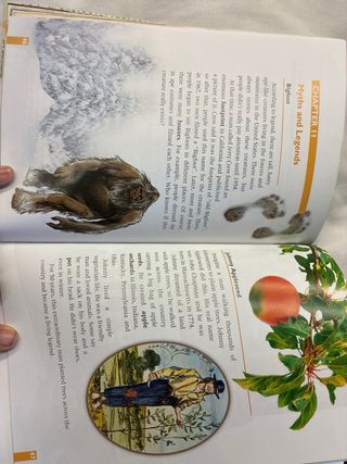 ALL ABOUT USA ESO2 ACTIVITY