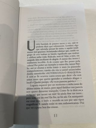 Unha estrela no vento (Infantil E Xuvenil) (Gal...