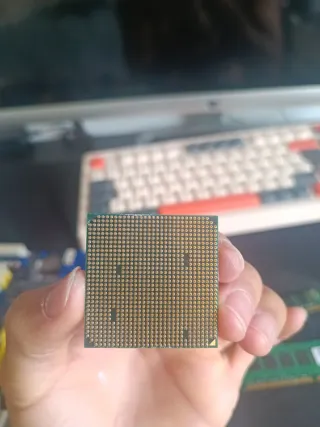 Procesador AMD Phenom II Socket AM3