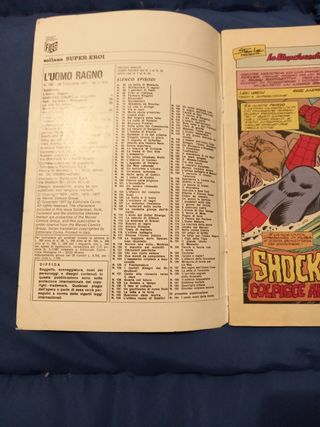 Fumetto l'Uomo Ragno n. 193 - anno 1977