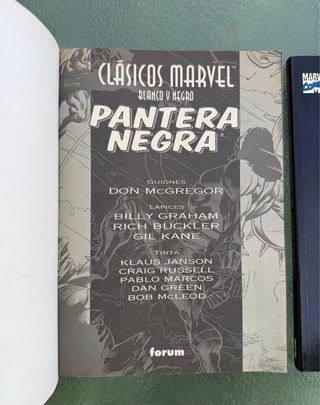 Pantera Negra