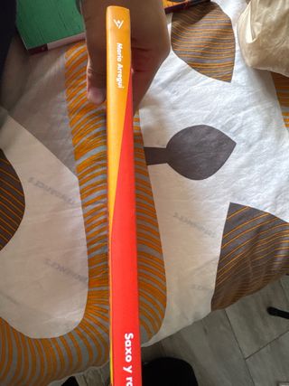 Libro Saxo y Rosas - María Arregui