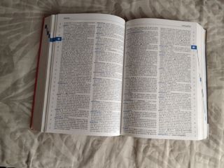 Diccionario lengua española