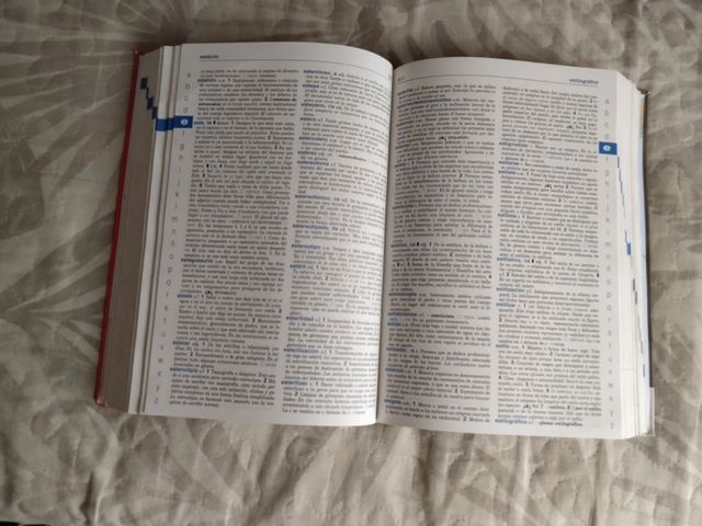 Diccionario lengua española 