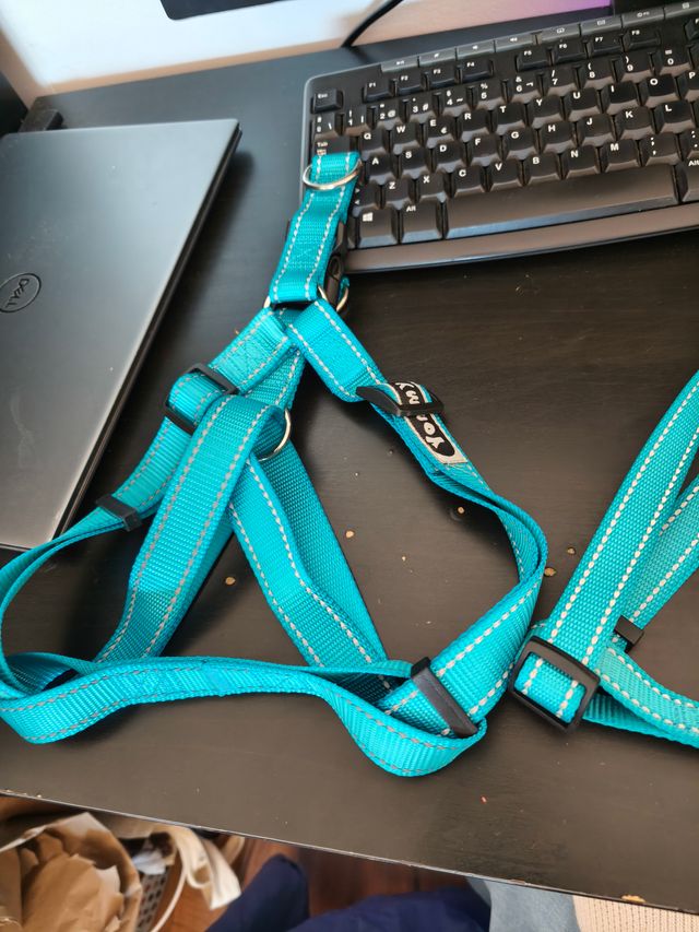 Arnés Coche Perro + Dispensador