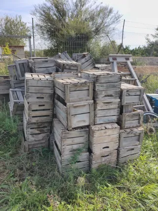 Cajas de madera rústicas vintage