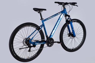 Bicicleta MTB Discovery Trek 29 Cuadro 19 Azul