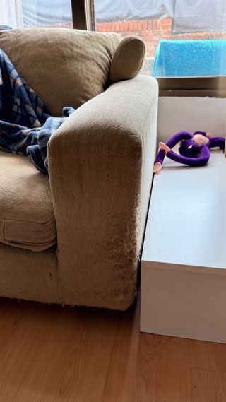 Par de sofás beige.