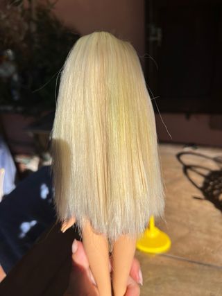 Barbie My Scene Kennedy Club Birthday