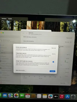 MacBook Air 13,6 Color arena