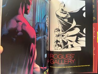 Batman Robin the Deluxe Edition Vol. 1 y 2