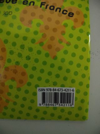 Un voyage de rêve en France (Lectures Faciles)